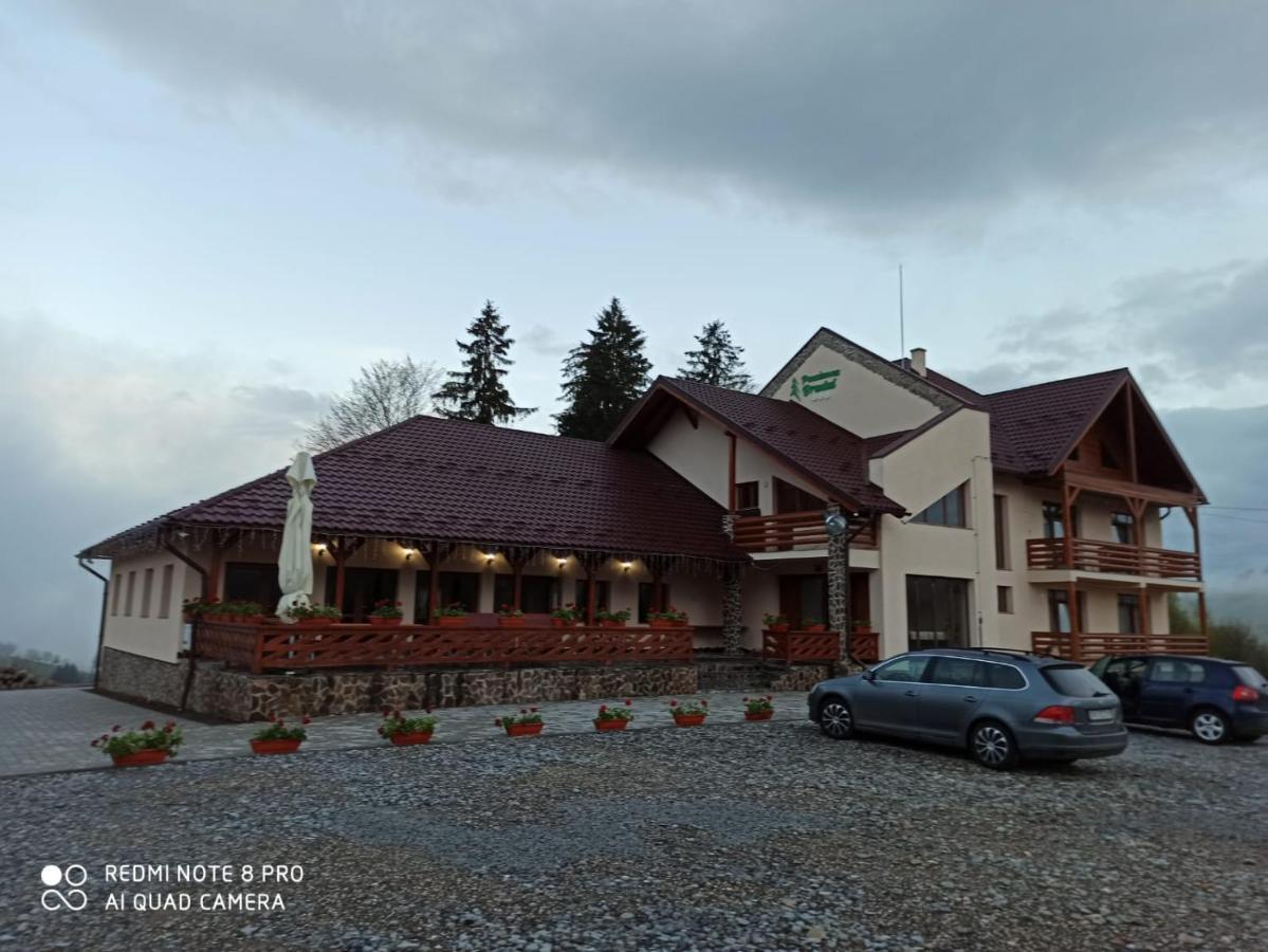 Pensiunea Bradul Dealu Stefanitei Exterior foto